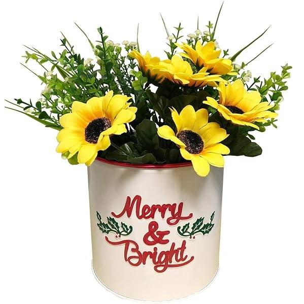 ตามที่แสดง