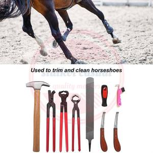 Professional Horses Hoof Care Tool 7 Pcs Horse Farrier Hoof Tools <b>Kit</b>\Customized Stainless Steel Veterinary Instrument - Product Image 6