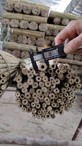 Bâtons de fleurs en bambou naturel de haute qualité, cannes de soutien pour plantes, vente en gros pour jardin et pépinière - Product Image 2