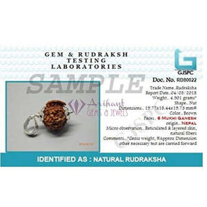 Pendentif en argent 925 certifié 100% original, 7 Mukhi Ganesh Ji Nepali Rudraksha, pendentifs et breloques raffinés - Product Image 4