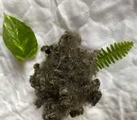 Fibre de polyester recyclé à 100 % de haute qualité Vikohasan, fibre creuse conjuguée siliconée marron du Vietnam, matériau de rembourrage
