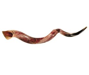 Vente en gros Grande corne de bélier Shofar casher Instrument de musique poli naturel utilisé à des fins religieuses juives - Product Image 2