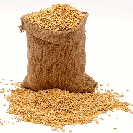 Barley grain Premium bibit jelai/pakan hewan Barley/massal barley grain Harga terbaik barley grain untuk dijual