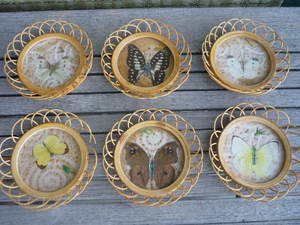 Posavasos de madera de Acacia, posavasos personalizado de diferentes tamaños, hecho a mano de Vietnam - Product Image 6