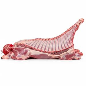 Venta de carcasas de cordero congeladas a granel, carne de primera calidad lista para exportar con envío rápido y excelente soporte - Product Image 4