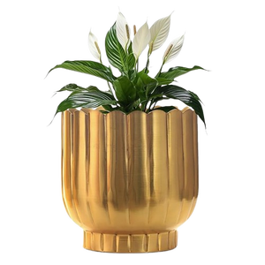 Jarrón de hierro de lujo, planta de acabado dorado, florero hidropónico, maceta, Metal con soporte de decoración de boda, precio al por mayor - Product Image 4