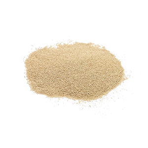 Levure sèche instantanée Poudre à pâte de haute qualité 125g Levure sèche instantanée à faible teneur en sucre en gros - Product Image 1
