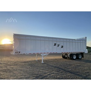 Ejes Traseros Tándem de Cadena de Acero Nuevos BTR 2025 de 38 pies x 102 pulgadas con Ruedas Totalmente de Acero y 1 Año de Garantía - Product Image 2