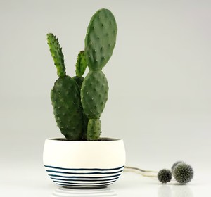 Juego de Macetas de Cerámica con Rayas Clásicas, Duraderas, para Interiores, para Suculentas y Cactus, Decorativas y Elegantes para el Hogar - Product Image 4