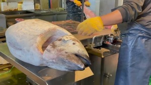 Filetes de Atún Rojo de Primera Calidad Congelados - Origen Japón, Envasados al Vacío, Precios de Mayoreo Sostenibles - Product Image 5