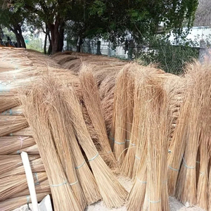 Palo de palma de coco largo al por mayor para hacer escoba para jardín con suelo mojado - Product Image 6