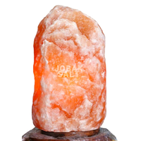 Lampe de Sel de l'Himalaya Extra Large (30-300 kg) en Matériau Organique, Qualité Supérieure, Sculptée, Purificateur d'Air, Lampe de Table, Veilleuse, Amour