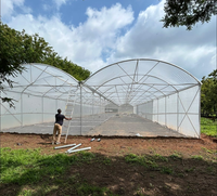 Serre agricole multi-chapelles avec système hydroponique complet NFT, système de refroidissement et système de chauffage
