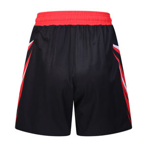 Mma Shorts Muay Thai Boxeo Pantalones cómodos Taekwondo Fighting Jiu-jitsu Impreso Pantalones cortos de boxeo Casual Sports Fitness Shorts - Product Image 2