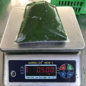 Vietnam feuilles de manioc congelées 18 paquets 2Lbs feuille de manioc congelée pour l'industrie tambour de feuille de manioc moulu 200kgs ANGLE - Product Image 4