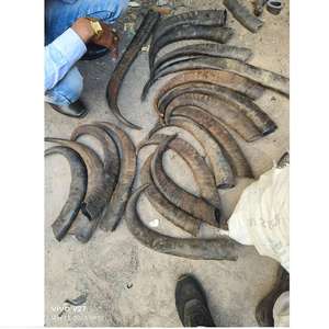 Pointe de corne de buffle naturelle - Design moderne fait à la main, respectueux de l'environnement, taille personnalisée et couleur naturelle pour les décorations de fêtes et de mariages - Product Image 4