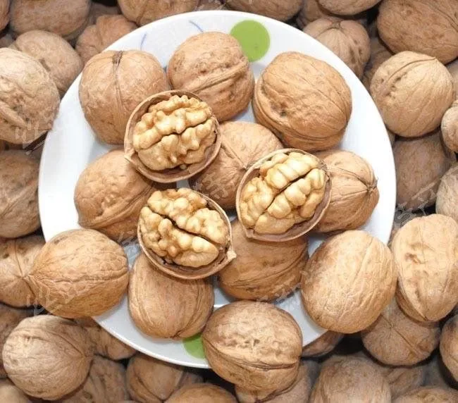 Nueces al por mayor en cáscara de papel nueces 185