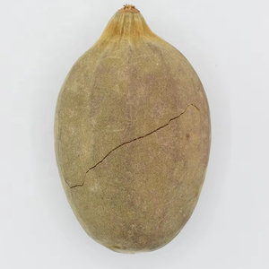 Venta al por mayor de semillas de baobab de gran calidad, aceite en polvo para jugos saludables, cosméticos, producto agrícola superior - Product Image 1