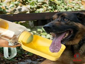 Nhi Binh Bols et mangeoires portables en plastique pour animaux de compagnie 2025 Nouveauté Plateau distributeur pliable Indispensable pour chats et chiens Idéal pour les voyages - Product Image 2