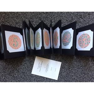 ISHIHARA TEST COLORING BOOK COLOR BLINDNESS COLOR VISION BOOK 38 <b>PLATE</b> LATEST EDITION... - Product Image 3