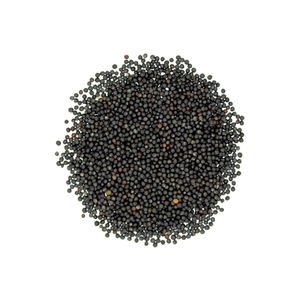 Aceite de Semillas de Canola 100% Natural Sin OMG, Prensado en Frío, Producto Agrícola de Alta Calidad, España, 2 Años de Duración - Product Image 2