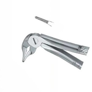Pinzas para Extracción de Dientes Fig133, Manuales, de Acero Inoxidable, Certificación CE, Instrumentos Dentales de la Mejor Calidad, Logotipo Personalizado, Nawaz Surgical - Product Image 3