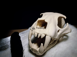 Estatua esculpida de animales de resina decorativa Tradebyd, figurita hecha a mano única para coleccionistas y Decoración elegante para el hogar - Product Image 2