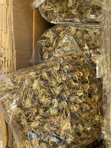 ดอกอาร์ติโชคแห้ง GMO คุณภาพดี ราคาดี ผ่านกระบวนการ AD คุณภาพเยี่ยม สำหรับส่งออกจำนวนมากในเวียดนาม - Caryln - Product Image 3