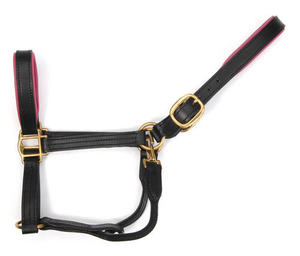 Artisan anglais cuir licou marron doux rembourré cuir laiton matériel Durable confortable équestre Tack - Product Image 3