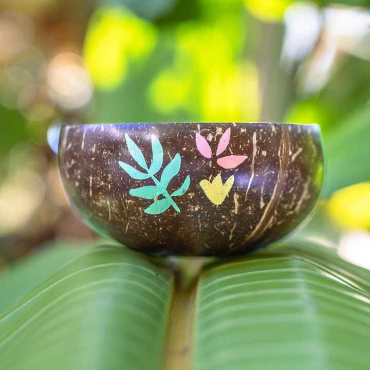 Sustainable dinnerware eco friendly biodegradable coconut shell bowl ...