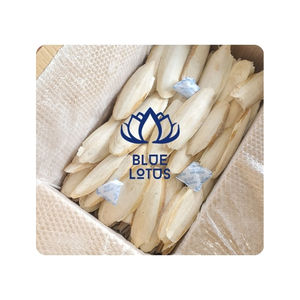 BEST SELLER Os de seiche pour l'enrichissement des habitats de reptiles et minéraux organiques purs pour une distribution durable de produits pour animaux de compagnie - Product Image 1