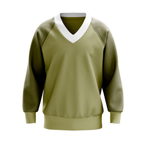 Sweat-shirt homme 100% coton molletonné, hiver, vintage, manches longues, col rond, coupe unisexe, fitness, mode streetwear, personnalisable - Product Image 1