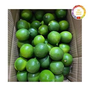 WHOLESALE <b>FRESH</b> LIME: SEEDLESS <b>FRESH</b> LEMON, BEST QUALITY WITH CHEAP PRICE FROM FACTORY VIETNAM, HOT SELLING. - Product Image 3