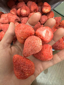 Fresas liofilizadas de Vietnam: fresas secas enteras premium a granel para exportación, alta calidad listas para el envío - Product Image 6