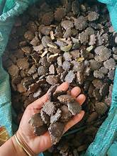 GRAINES DE GAC BIO DE PREMIUM POUR UNE FORCE IMMUNITAIRE QUOTIDIENNE SANTÉ DU FOIE ET UN SOUTIEN HOLISTIQUE PROPRE - Product Image 5