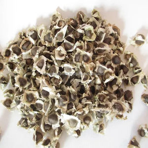 Extracto de semilla de Moringa Natural puro más vendido 5% humedad 10% Nivel de aflatoxina al por mayor cantidad a granel disponible crudo seco - Product Image 6