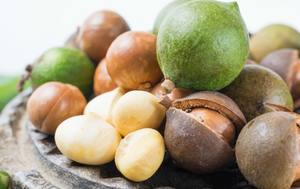 Noix de Macadamia, produit du Vietnam, prix raisonnable, haute qualité pour la vente en gros auprès du fournisseur, 2023 MARY - Product Image 4