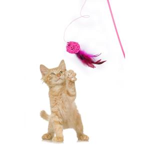 Juguete de Pesca para Gatos con Bola Rosa, Caña de Pescar para Gatos con Peluche - Product Image 2