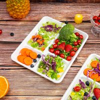 Barquettes alimentaires jetables 100% compostables à 5 compartiments en bagasse, assiettes biodégradables