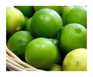 มะนาวสดออร์แกนิกจากเวียดนาม คุณภาพพรีเมียม ผลไม้ส้มเขียวฉ่ำ ราคาส่งถูก สำหรับการส่งออกและจัดจำหน่ายจำนวนมาก - Product Image 3