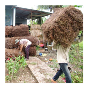 Gelée d'herbe noire du Vietnam en gros en vrac-Gelée d'herbe noire de qualité supérieure avec goût pour les smoothies, les boissons et les desserts - Product Image 1