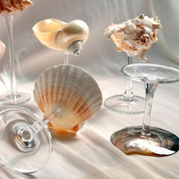 Verre bouclé de coquille pour la présentation tropicale de cocktail et le cadeau décoratif