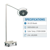 Lampe d'examen dentaire LED à 30 perles LED, sur pied mobile, pour clinique, hôpital, dentiste, OEM