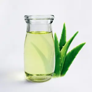 Großhandel Aloe Vera Träger öl Aloe Barba densis Miller Reine und Bio Aloe Vera Blätter Öl verpackung in Glas und Flasche