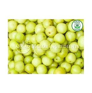 Extracto de Fruta de Amla Orgánica en Polvo, Suplemento Herbal Natural Rico en Vitamina C, Antioxidantes, Apoyo Inmunológico, Salud Digestiva, Salud de la Piel - Product Image 3