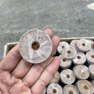 Vente en gros de granulés de noix de coco substrat EC bas choc zéro greffe haute compression pour le jardinage - Product Image 5