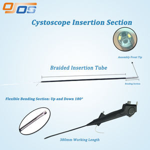 Cistoscopio USB HD Endoscopio Flessibile Endoscopio Digitale Videoscopio Urologico Prezzo di Fabbrica Cistoscopio per Veterinaria - Product Image 4