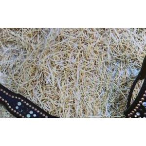 Cuentas de cristal, Conchos de flores, diseño tachonado de latón con herramientas florales blancas, juego de cabeza y pechera occidental, superventas - Product Image 2