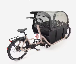 Bicicleta Eléctrica de Carga F900E, la Más Vendida, de Grado Industrial y para Bricolaje, con Personalización OEM, Garantía de 3 Años, Austria, para Uso Familiar - Product Image 4