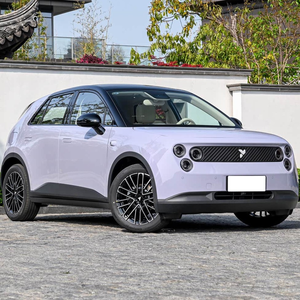 Voiture électrique compacte 5 places 2025, dernière édition d'avril, véhicule à énergie nouvelle pour l'Amérique du Nord - Product Image 3